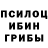 Псилоцибиновые грибы мицелий Konstantin Rodanes
