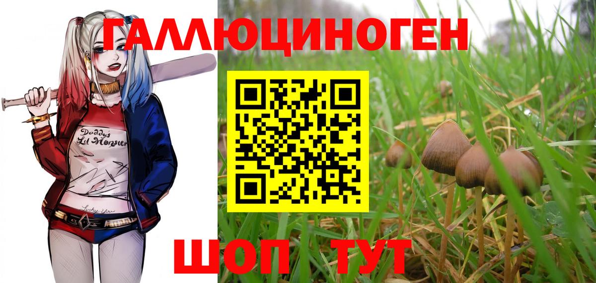 Галлюциногенные грибы GOLDEN TEACHER Камышлов