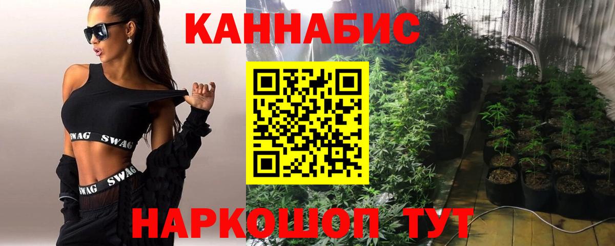 Шишки марихуана тримм  Вход с VPN  Камышлов  Каннабис Bruce Banner  Канабис планчик 